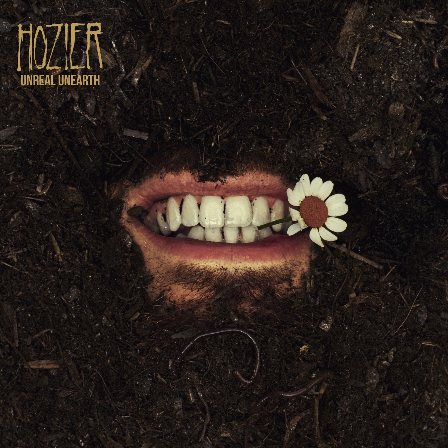 Music Review - Hozier